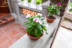 Exterior - Amira Homestay (Nam Hoa Lu)