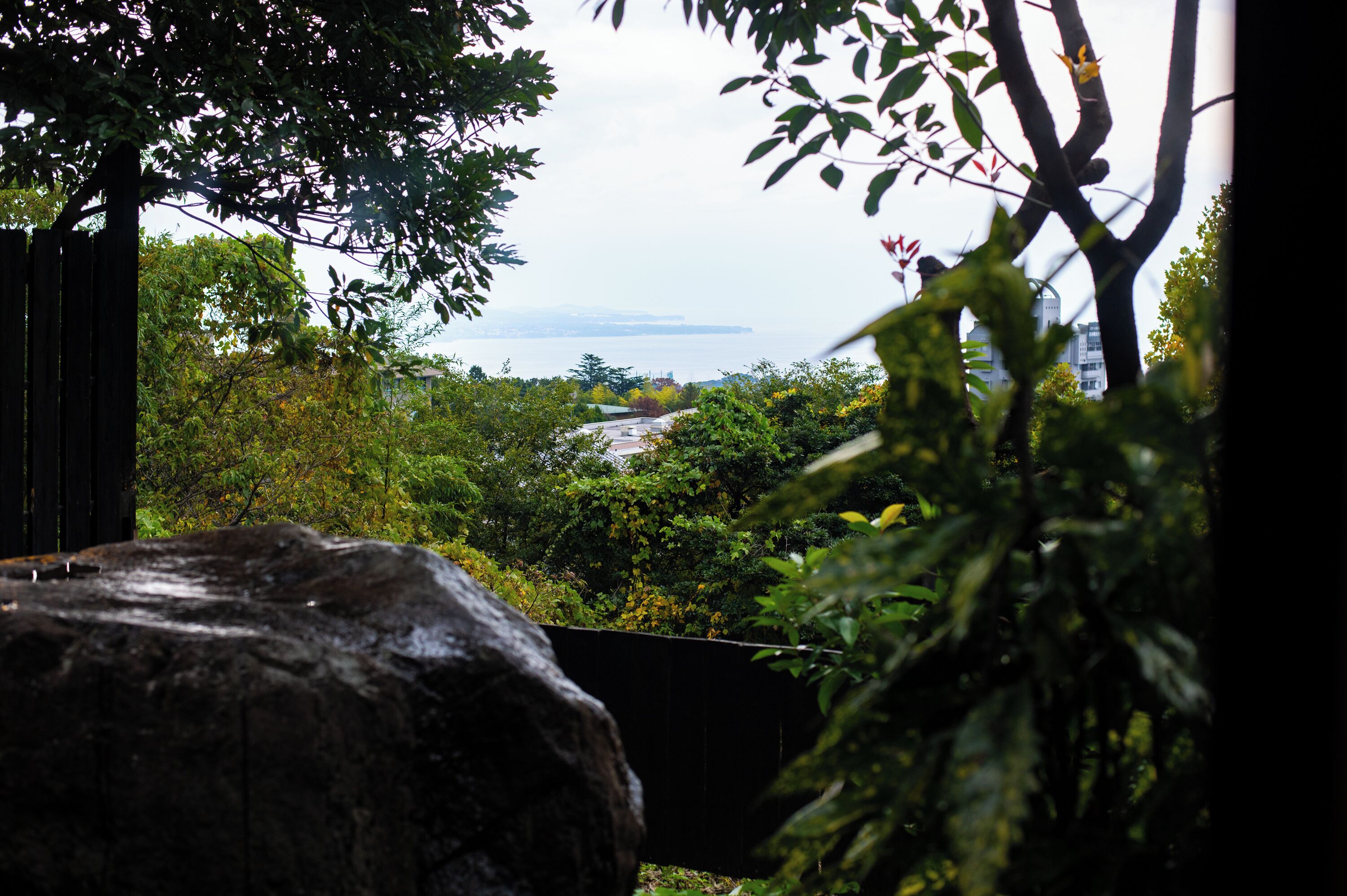 Vista de un jardín con una gran roca en primer plano, una cerca de madera y diversas plantas.