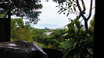 Vista de un jardín con una gran roca en primer plano, una cerca de madera y diversas plantas.