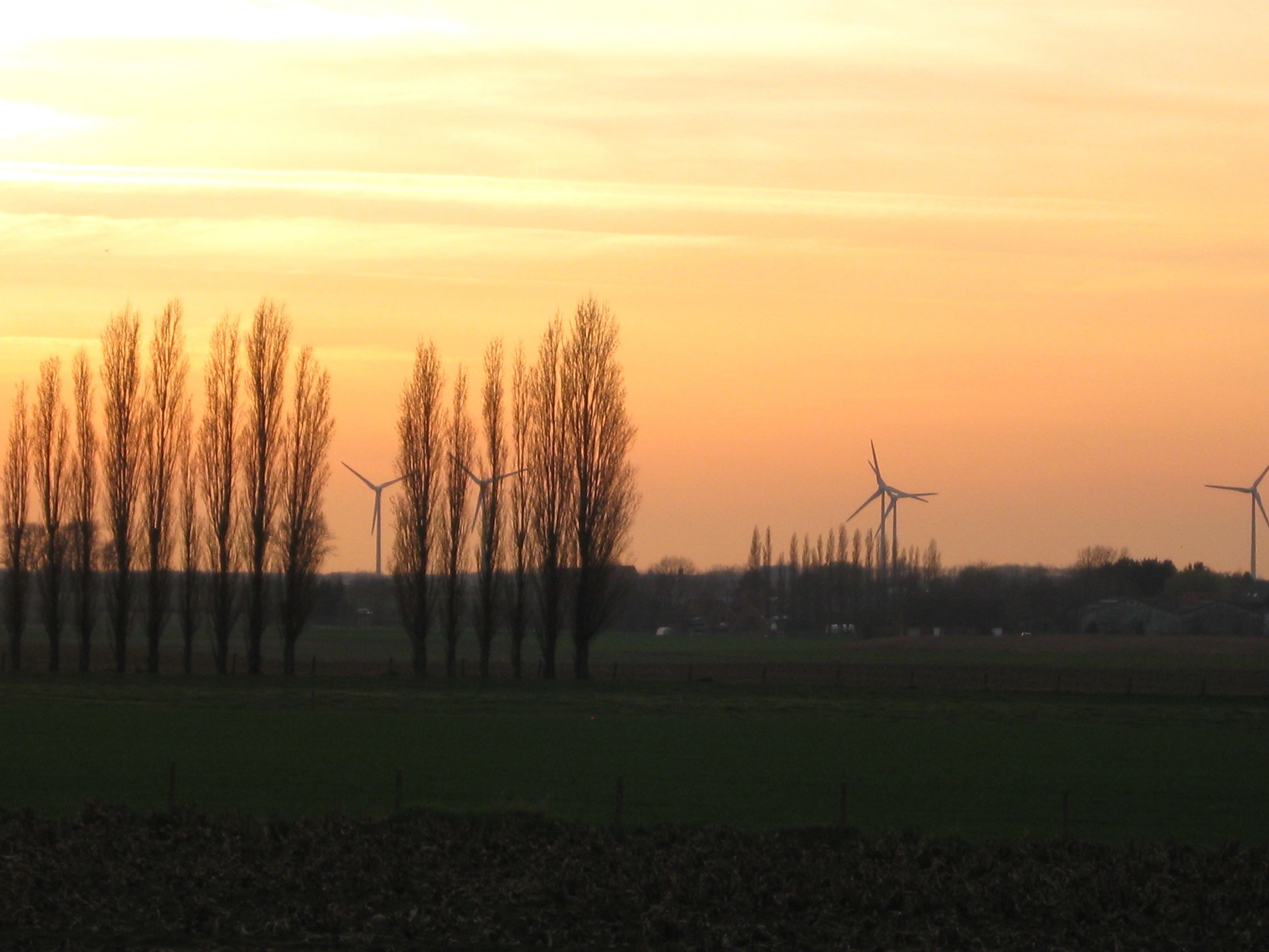 Een landschap met windturbines en kale bomen voor een ondergaande zon.