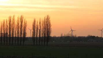 Een landschap met windturbines en kale bomen voor een ondergaande zon.