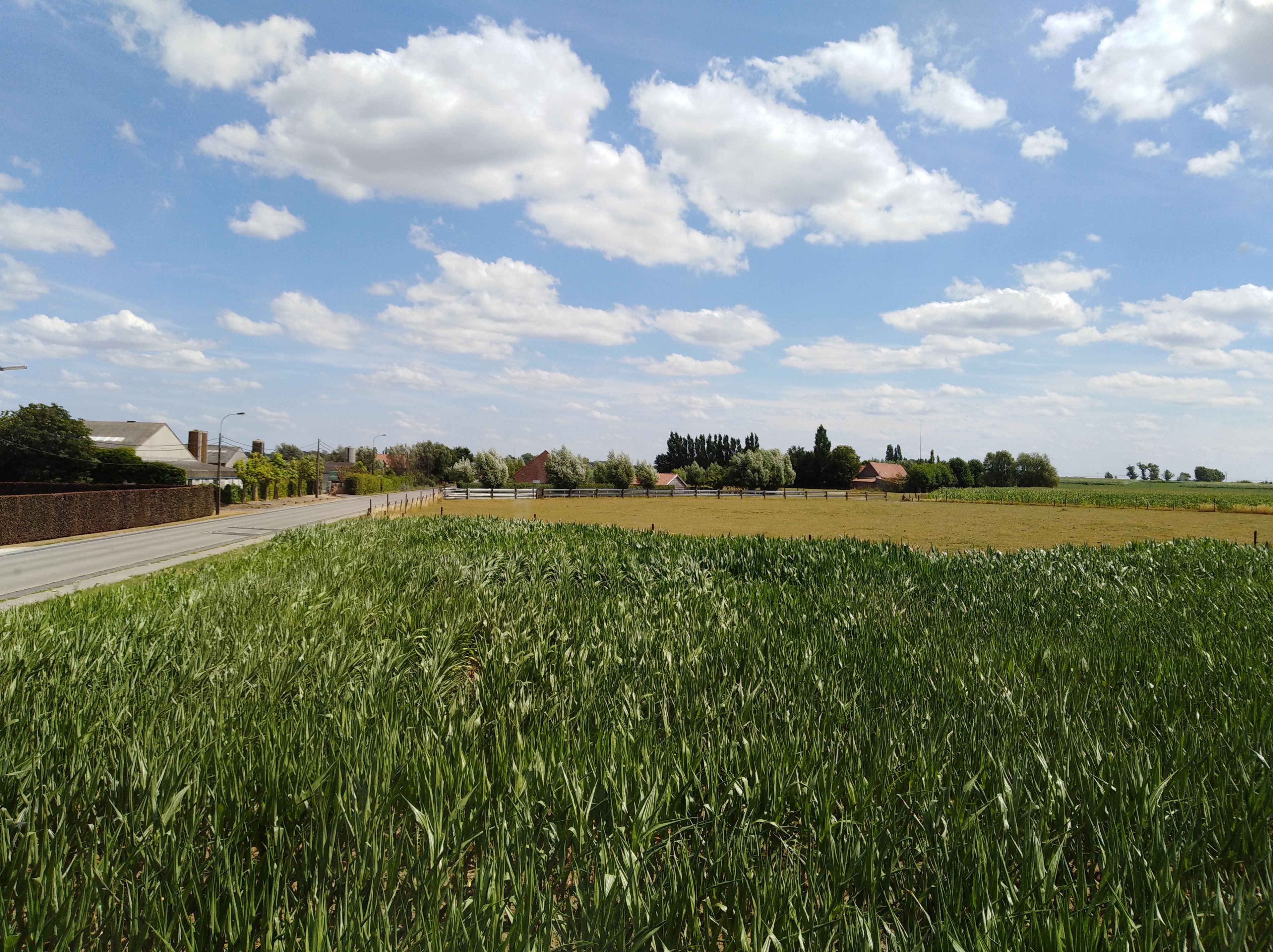 Paisaje rural con una carretera, campos y edificios al fondo.