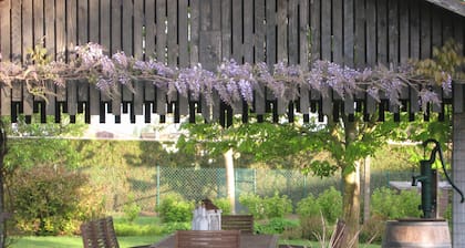 t Hooghe Licht Bed & Breakfast