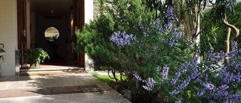 Vista dalla struttura