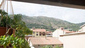 Chambre Double, salle de bains privée, vue montagne (Teo) | Balcon