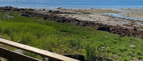 Cabana premium, 1 quarto, vista para o mar | Terraço/pátio