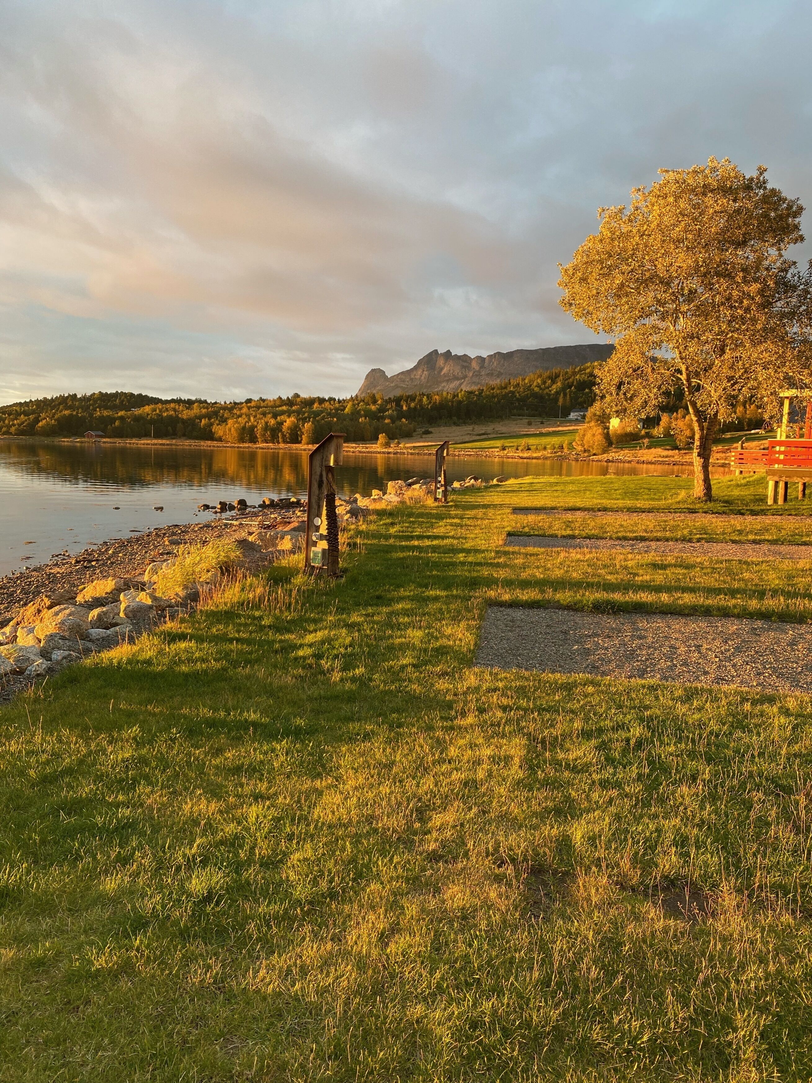A lakeside view with a grassy area, a tree, and a red structure.