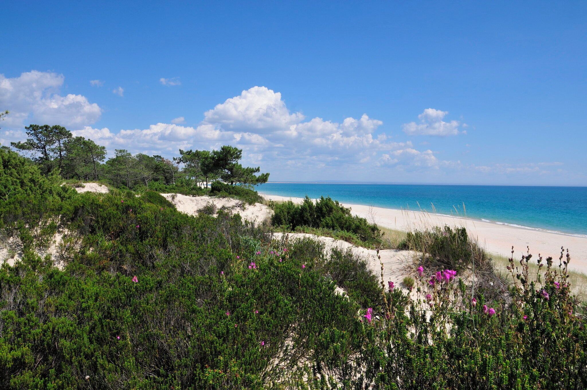 On the beach, white sand, beach towels, beach bar