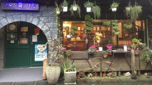 A storefront with hanging plants and a green door. - Jiufen Jiudaokou B&B (New Taipei City)