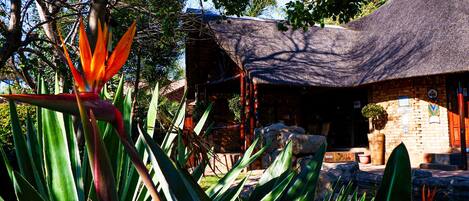 A rustic building with a thatched roof, surrounded by lush greenery and a prominent bird of paradise flower.