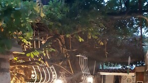 餐厅