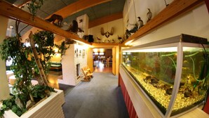 An indoor space with wooden beams, a large fish tank, and various mounted birds and animals. - Overhalla Hotel (Overhalla)
