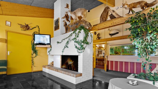 A room with a fireplace, a television, and various animal taxidermy on the walls. - Overhalla Hotel (Overhalla)