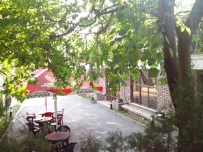 テラス / パティオ