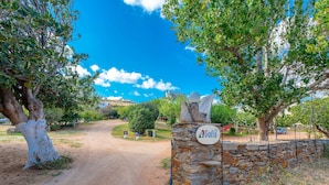 A stone wall with a sign, a dirt road, and trees. - Villa Sofia (Andros)