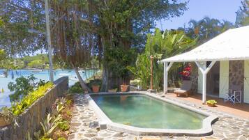 Outdoor pool, pool umbrellas, pool loungers