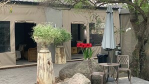 Eine Terrasse mit Sitzgelegenheit, einem großen Felsen und einem Topfpflanzen.