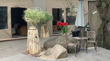 Extérieur