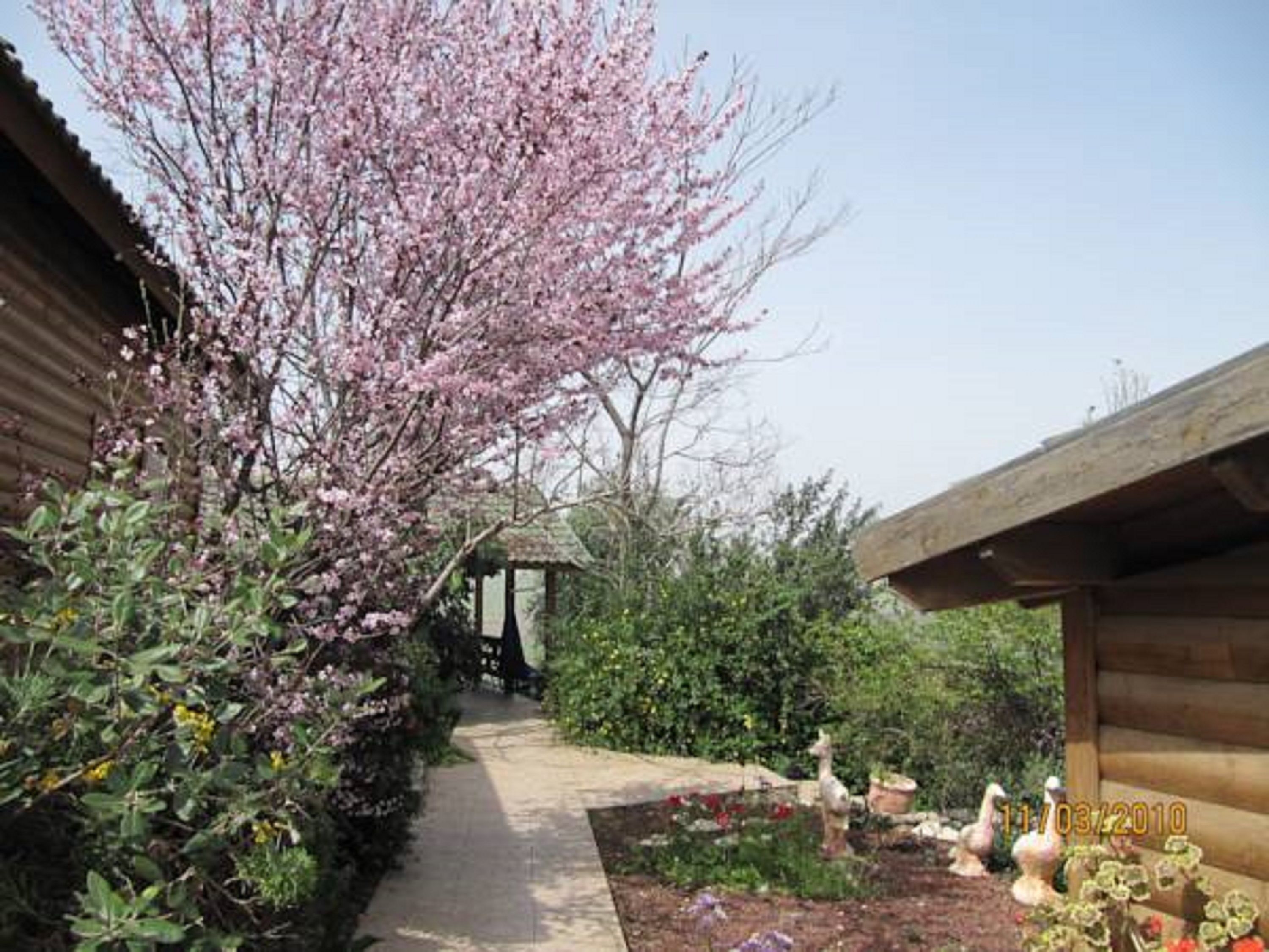 บริเวณที่พัก