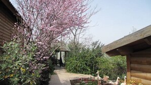 Property grounds - Aviv Bakerem (Mevoot HaHermon)