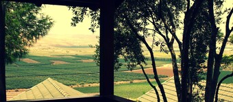 Aviv Bakerem