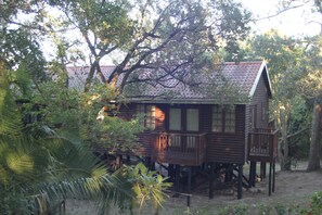 Exterior - Uvongo log home (Margate)