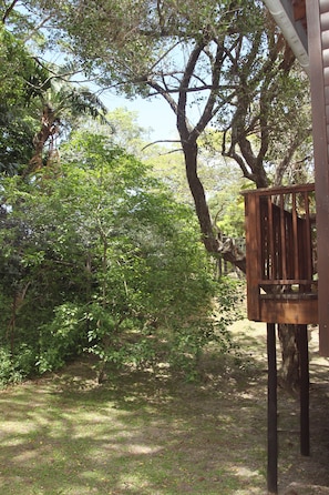 Jardín