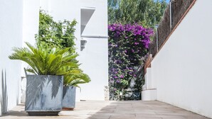 A narrow courtyard with a white wall, a potted plant, and purple flowering vines.