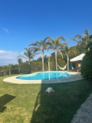 Uma piscina rodeada por palmeiras, uma rede e um caminho de pedra.