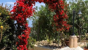 A circular stone pool with a mosaic border, surrounded by red flowering plants and various greenery. - Sea view villa with pool near Tropea (Zambrone)