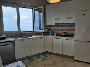 Fridge, oven, stovetop, dishwasher