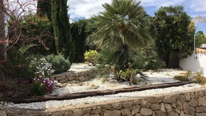 Un jardin avec différentes sortes de plantes, un palmier et un mur en pierre.