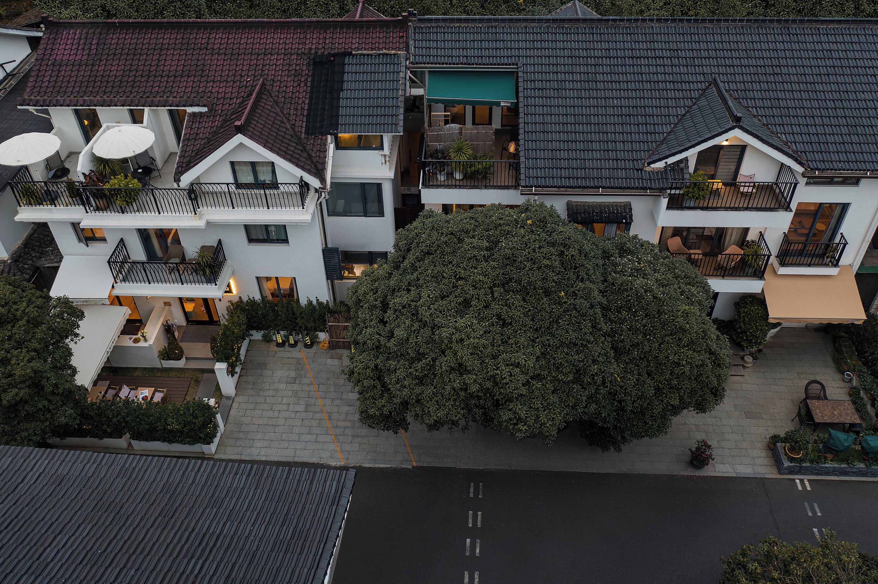 A multi-story residential building with balconies, outdoor seating, and a large tree in the courtyard.