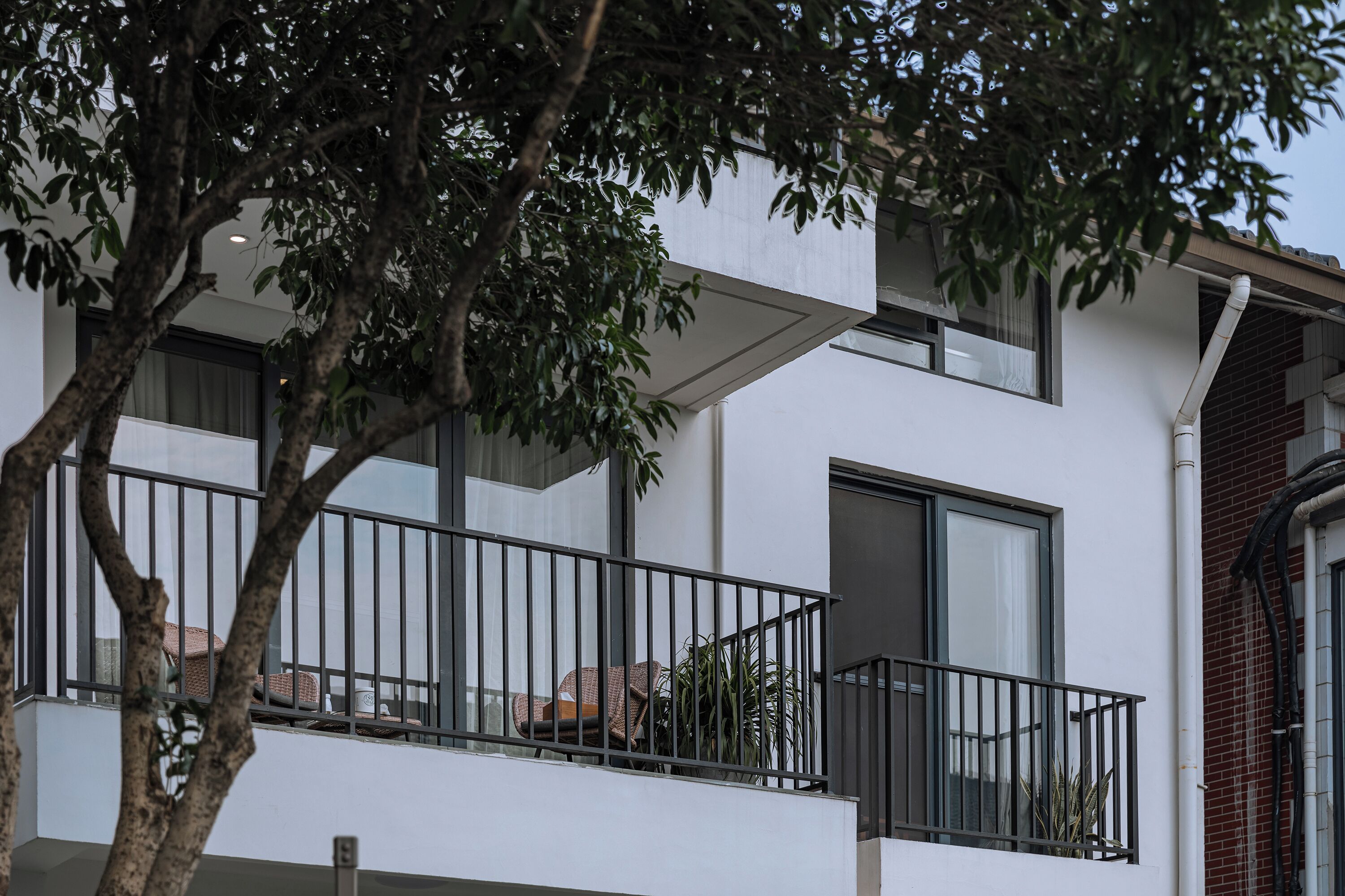 Um edifício moderno com varandas, grandes janelas e uma árvore em primeiro plano.