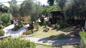 A garden with various plants and a gazebo.