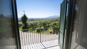 A balcony with a metal railing overlooking a vineyard and distant mountains.