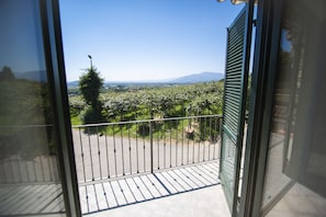 Superior Apartment | Terrace/patio - Agriturismo Turina by Connexion (Bricherasio)