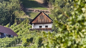 Une maison rustique en bois, dotée d’un toit à pente, entourée d’une végétation luxuriante et de vignobles.