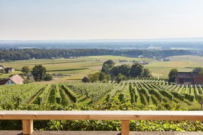View from property - Weinberg Lodge - Kellerstöckl (Kloech)