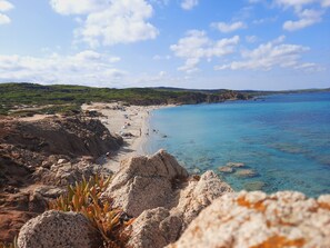 Beach nearby - Villette Oleandri Vista Mare (Aglientu)