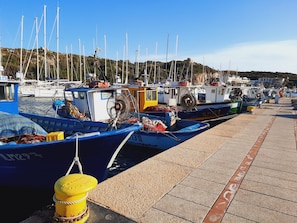 Fishing