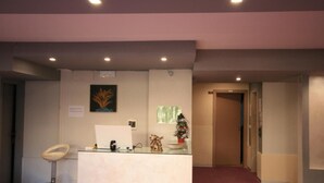 Zona de recepción con mostrador de vidrio, un pequeño escritorio con silla, una obra de arte enmarcada, un árbol de Navidad pequeño y una puerta que conduce a otra habitación.