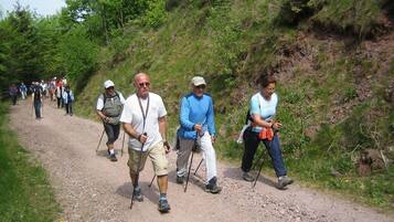 A group of people hiking on a dirt path surrounded by greenery.
