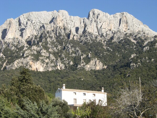 Vista desde la propiedad