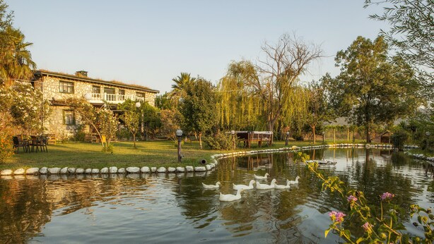 Ảnh chưa phân loại, 1 trong số 96 ảnh, nút