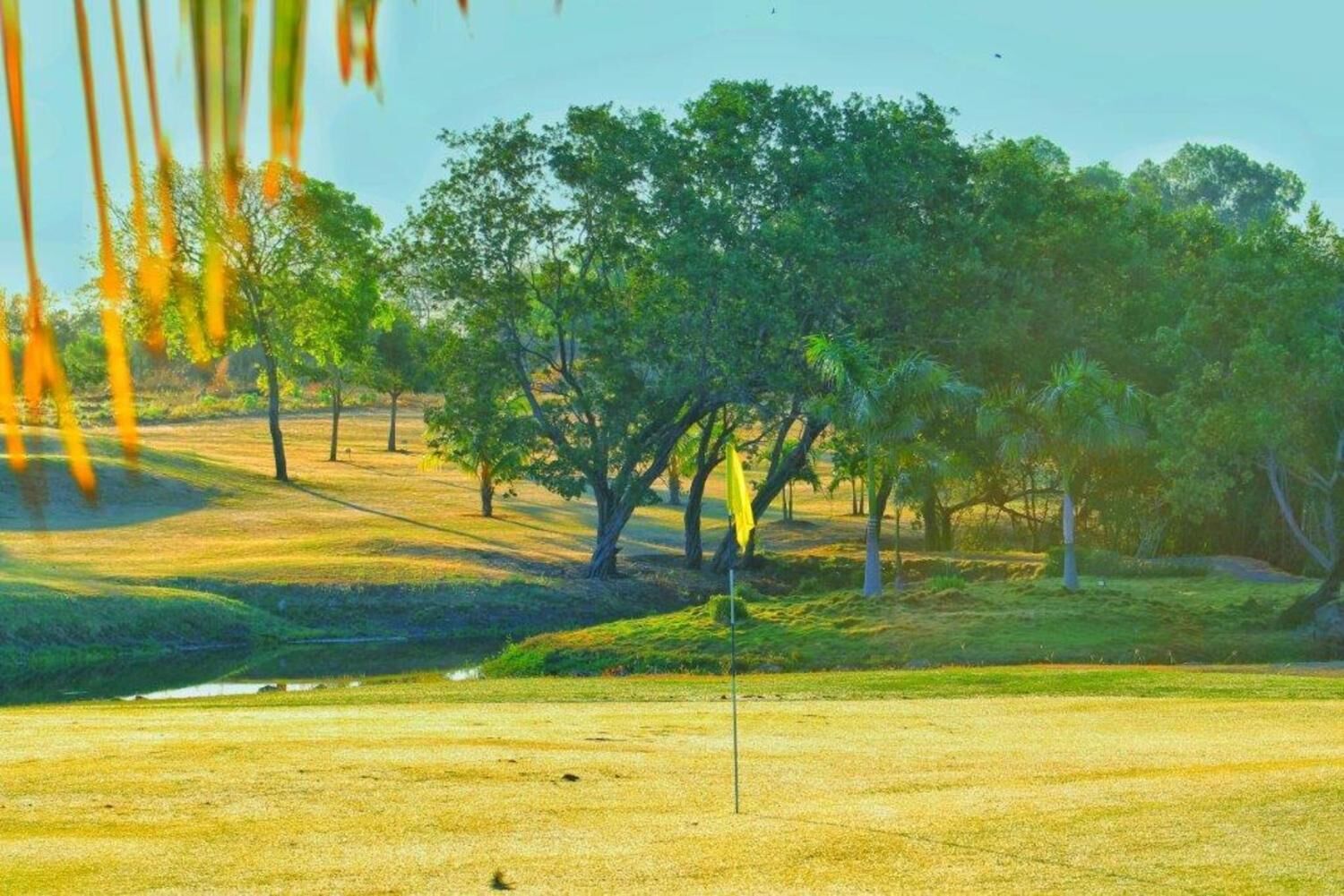 A golf course with a flagstick in the foreground, surrounded by trees and grassy areas.