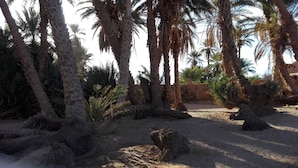 Exterior - Kasbah Aladdin (M'Hamid El Ghizlane)