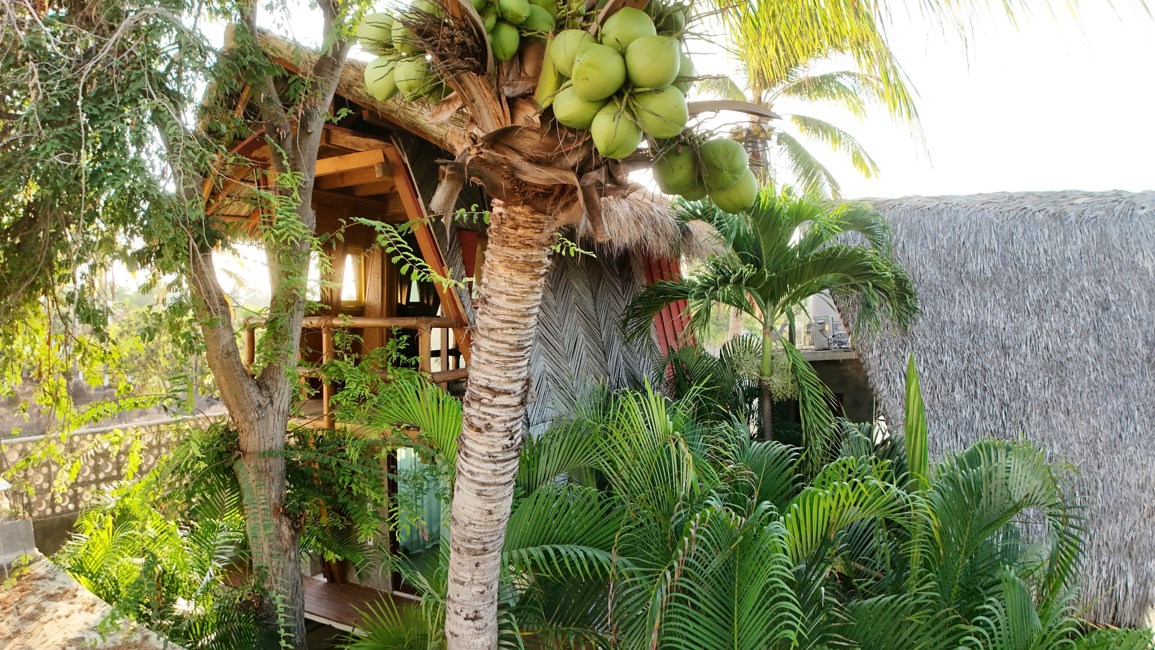 Foto - A&V Hotel Boutique