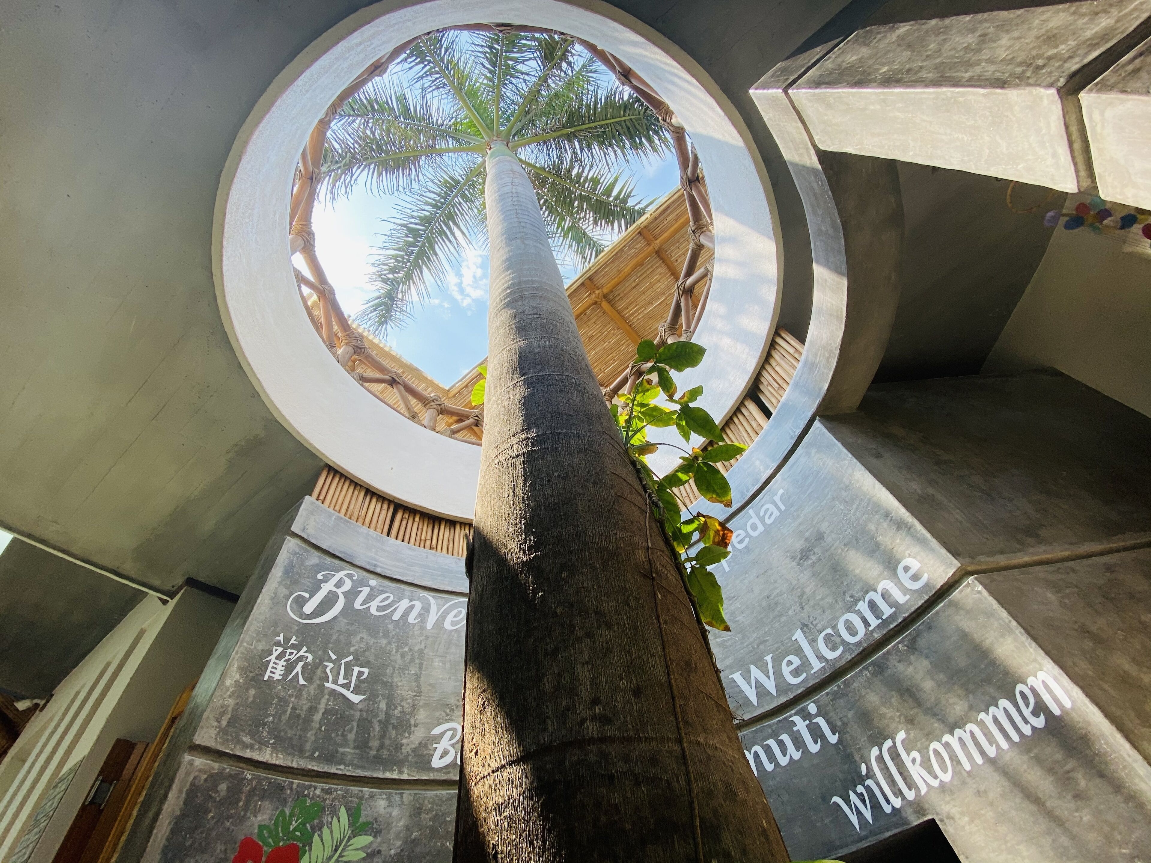 Foto - A&V Hotel Boutique