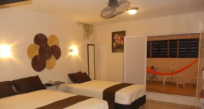 Departamento amplio en excelente zona